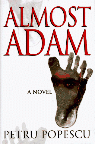 Almost Adam: A Novel