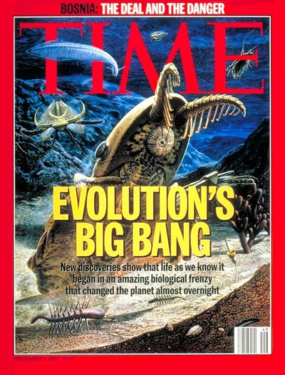 [TIME-2019-10-20-710] TIME [4-Dec-95]