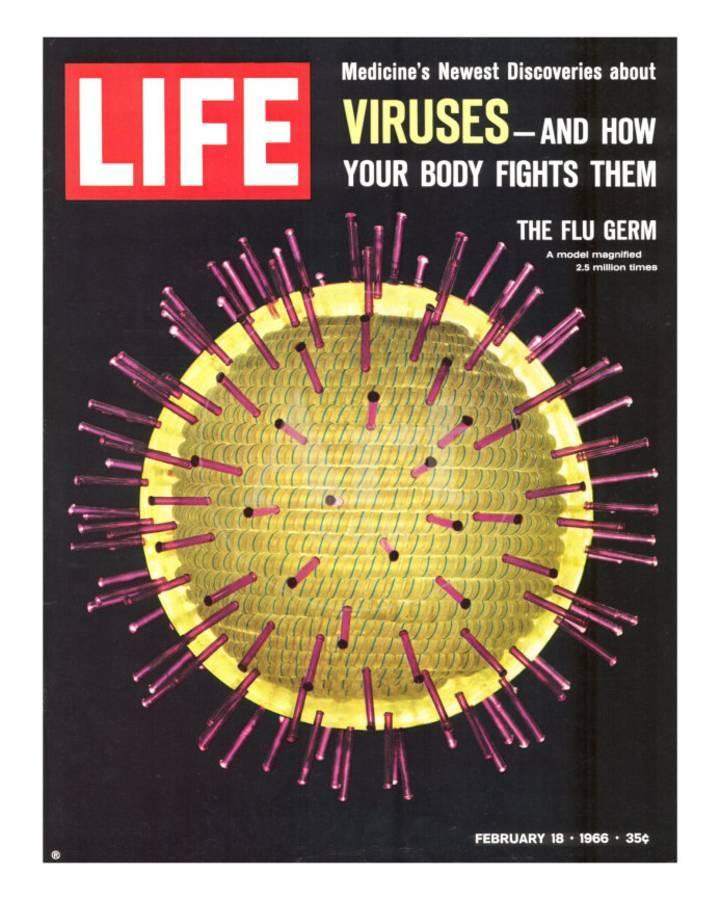 LIFE Magazine - February 18, 1966
