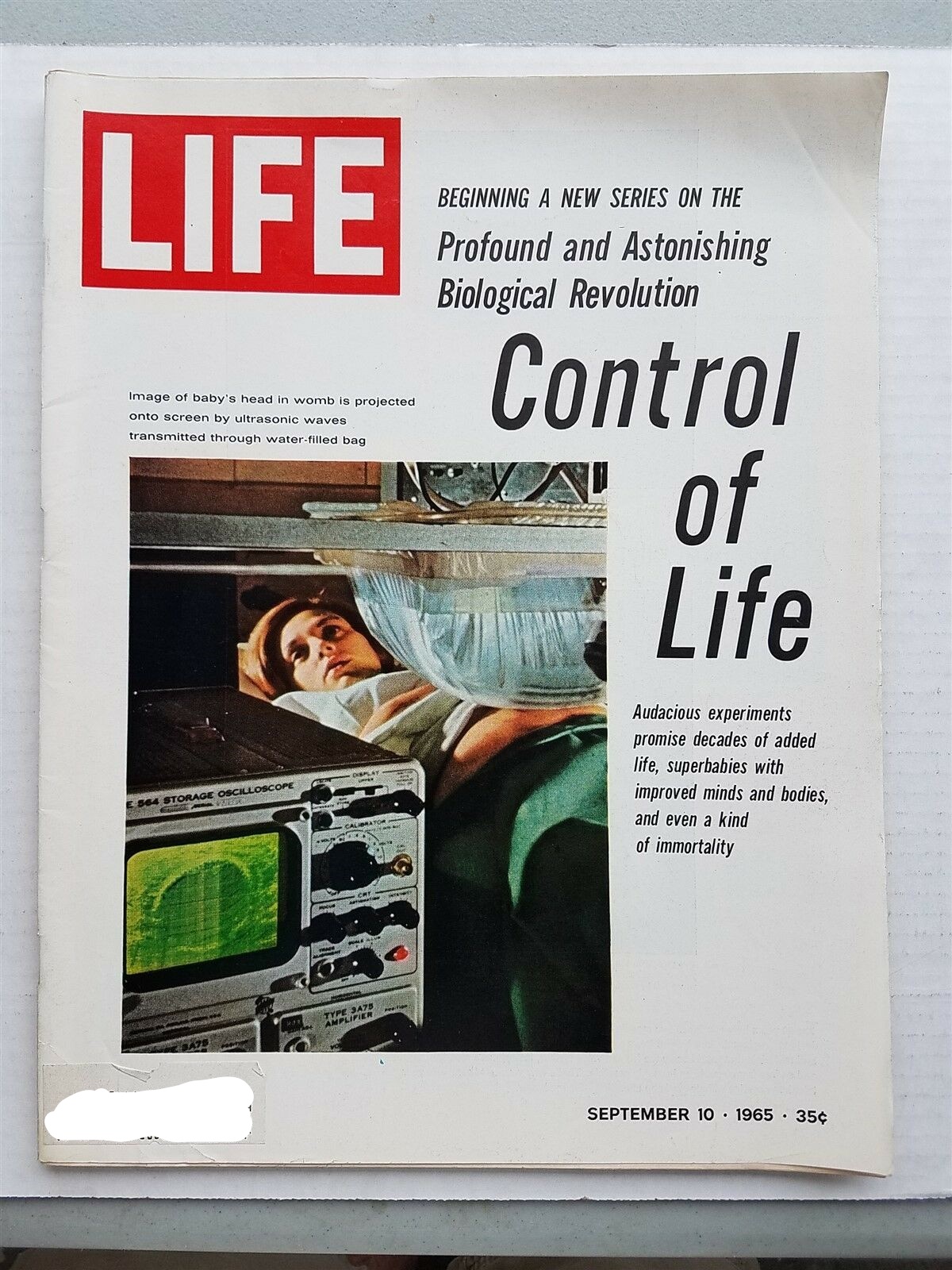 LIFE Magazine - September 10, 1965