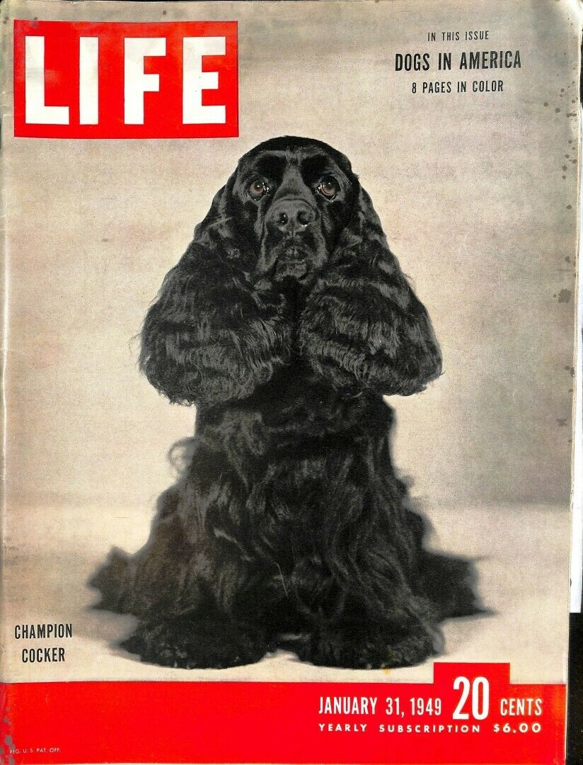 LIFE Magazine - January 31, 1949