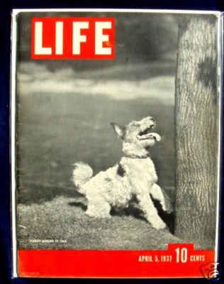 LIFE Magazine - April 05, 1937