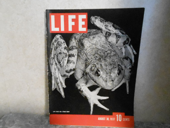 LIFE Magazine - August 30, 1937