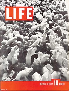 LIFE Magazine - March 01, 1937