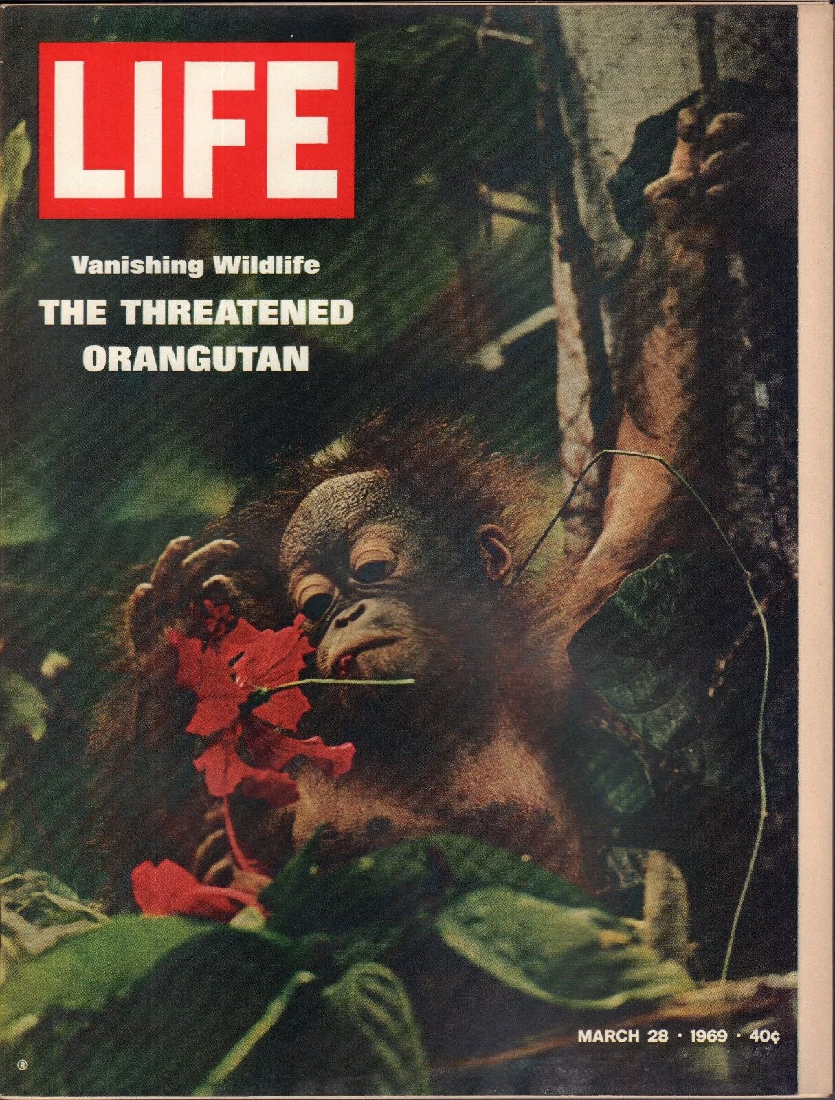 LIFE Magazine - March 28, 1969