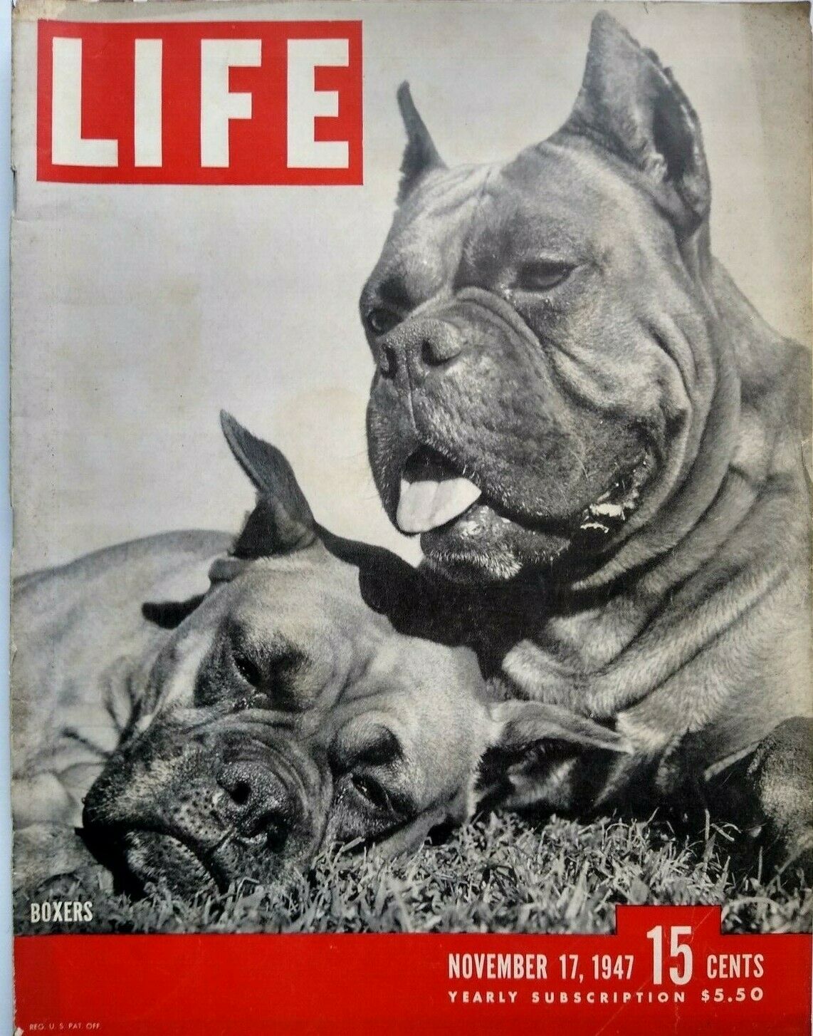 LIFE Magazine - November 17, 1947