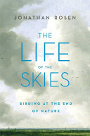 The Life Of The Skies