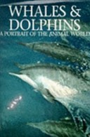 Whales And Dolphins